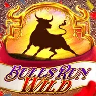 Bulls Run WildRedtiger screenshot